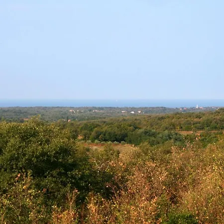 Family Friendly House With A Swimming Pool - Strpacici, Istria - Sredisnja Istra - 3351 Dom wakacyjny
